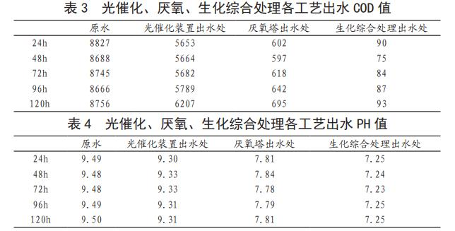 圖片11