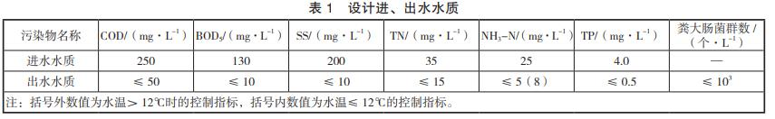 圖片17