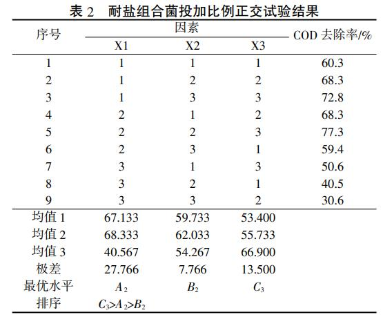 圖片11