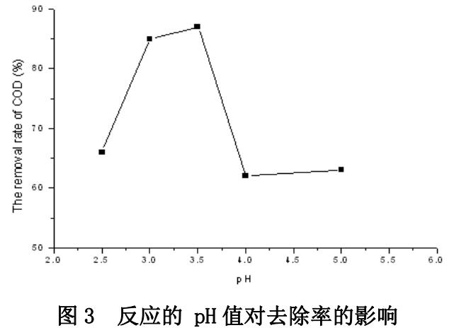 圖片39