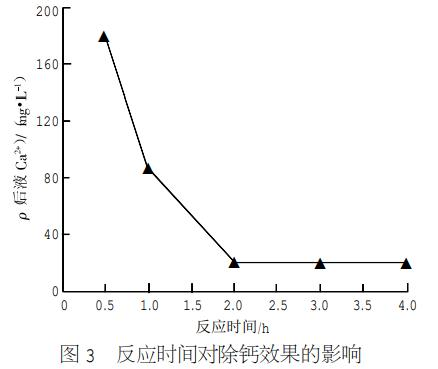 圖片34